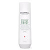 Goldwell Dual Senses Curly Twist Hydrating Shampoo
